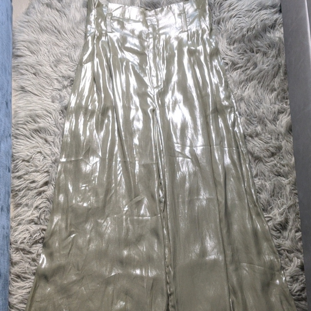 Zara Silver / Champagne Colored Wide Leg Trousers